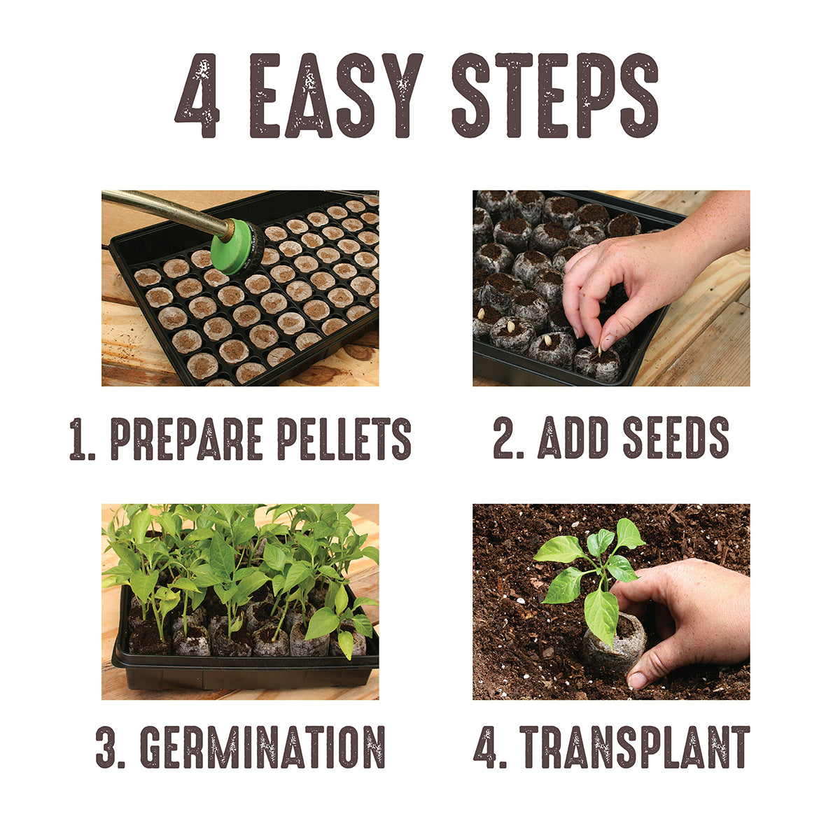 Four easy steps on using Jiffy peat pellers